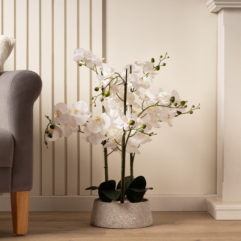 66cm Real Touch 3-Stem Orchid in Grey Terrazzo Pot